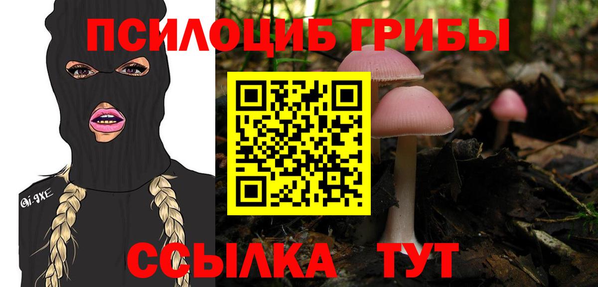 Псилоцибиновые грибы прущие грибы Красноуфимск